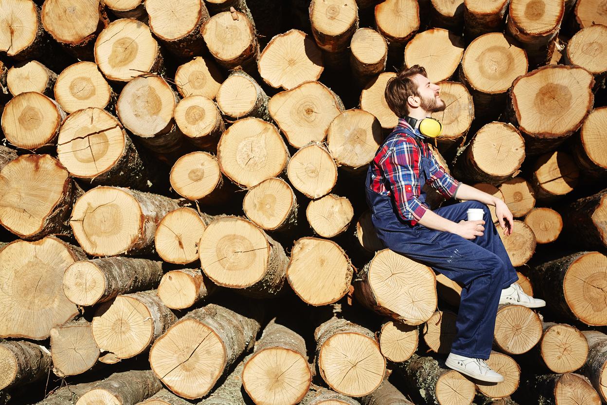Gefällte Baumstämme - Tischler Hintergrund Gefällte Baumstämme - Tischler Hintergrund
